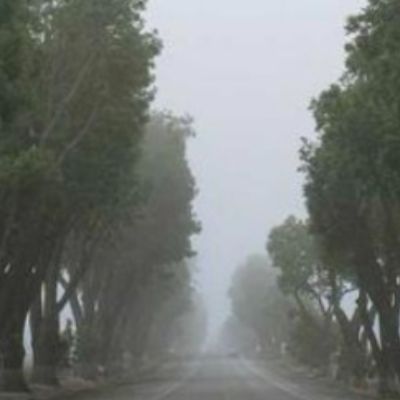 Street