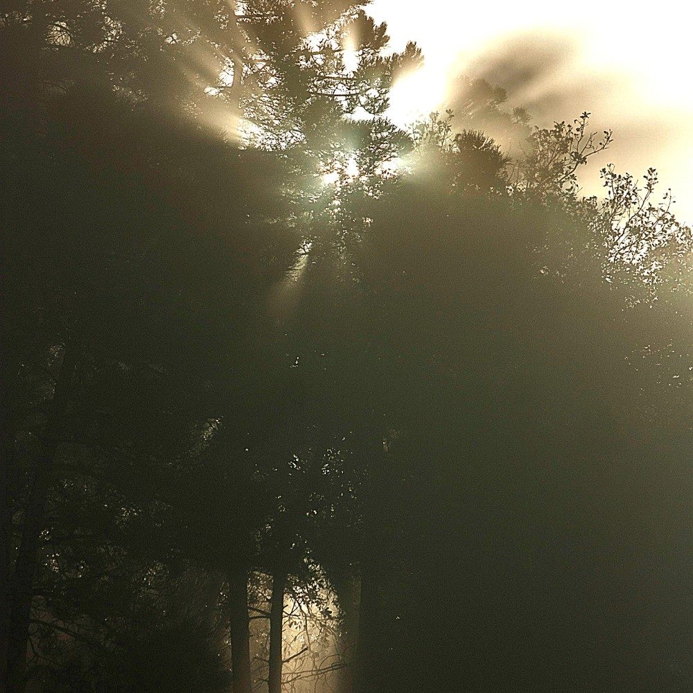 Fog.lux, photo by gLk82 on the wall