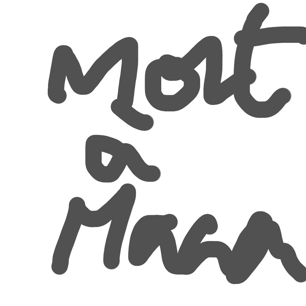 Mort à Macron, photo by pipaulartiste on the wall
