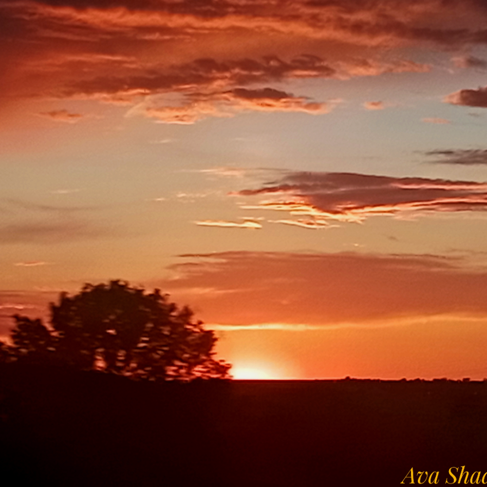 ava_shades_art, photo by ava_shades_art on the wall