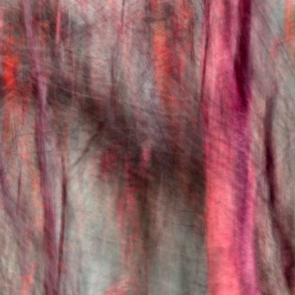Untitled photo, photo on the wall