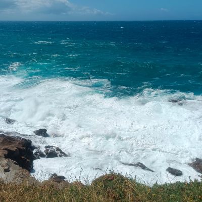 🌊🌊🌊🌊🌊🌊