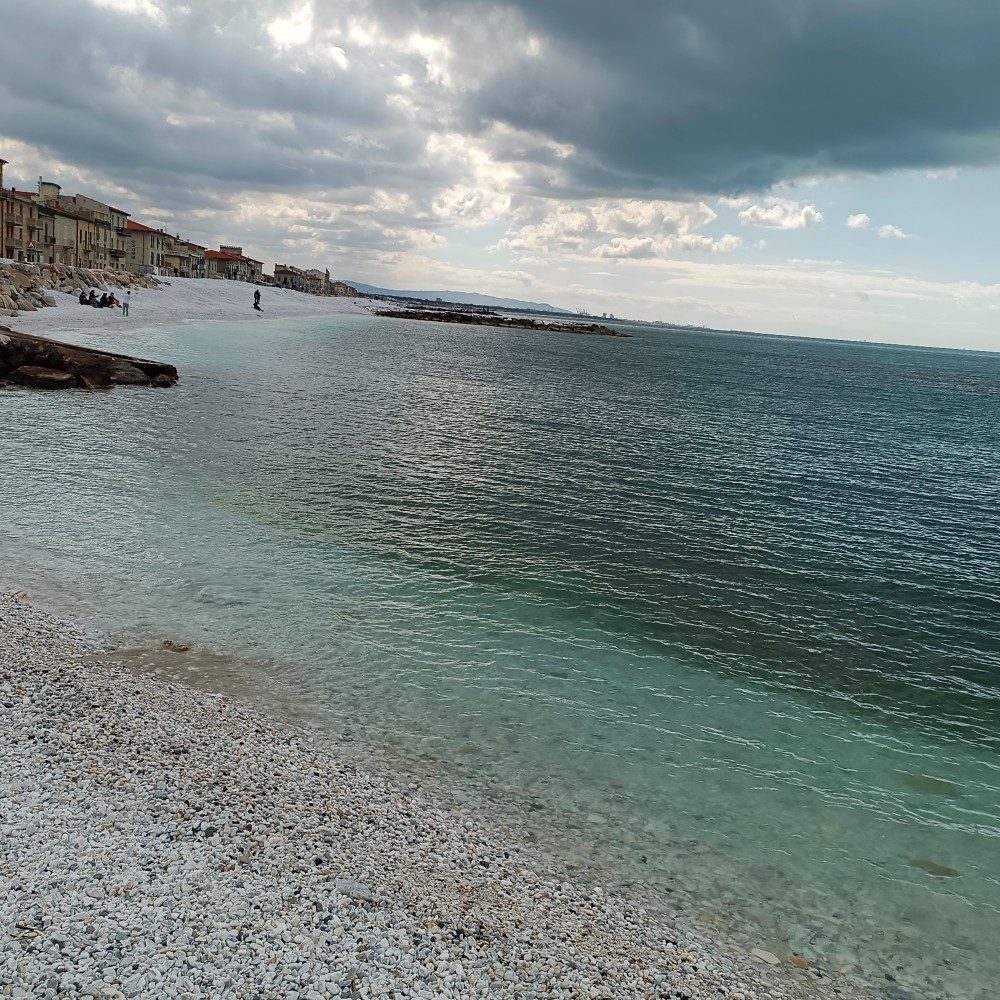 🌊⛱️🐋🐚🐟, photo by Lele on the wall