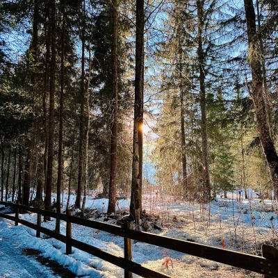 Nature