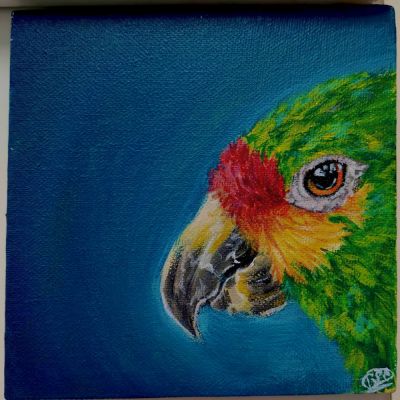 A silent bird