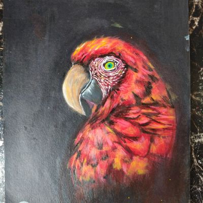 An bird in dark staring at its prey