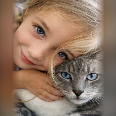 Amis