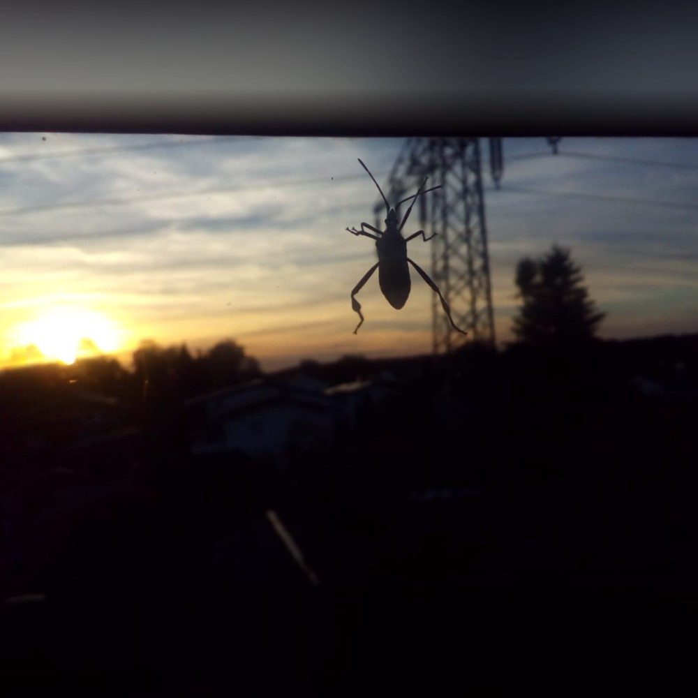A moment in a shot, photo by ConsuNoe_Gamers on the wall