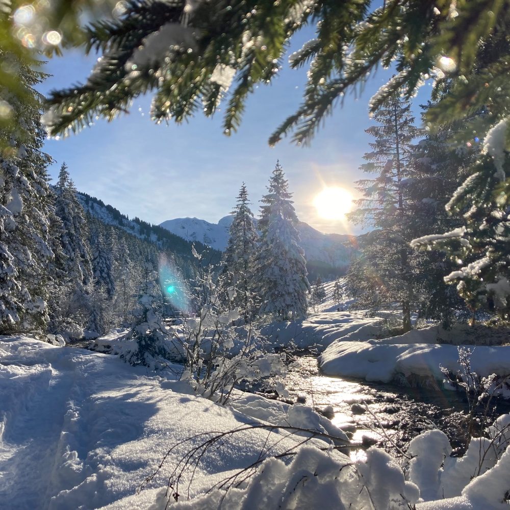 Hivernal, photo by fededesign on the wall