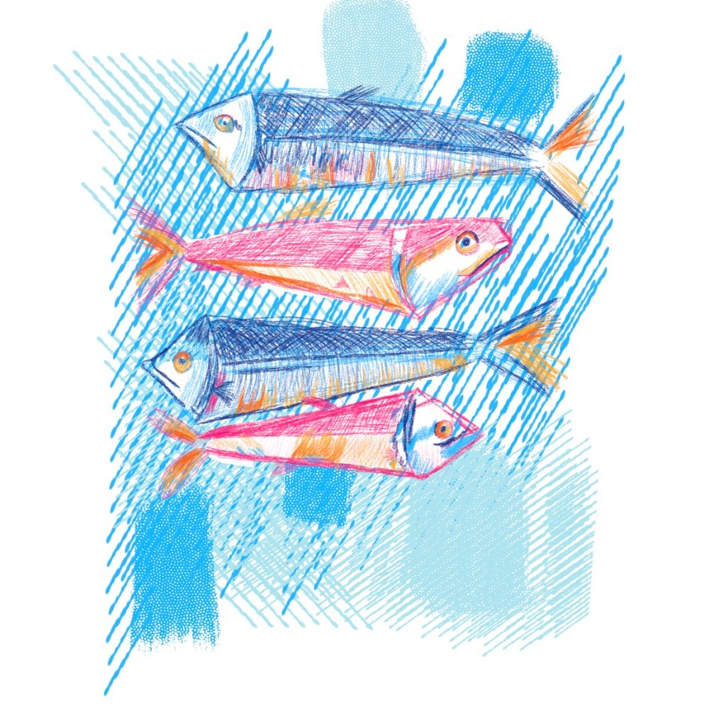 Peces, photo by PILI on the wall