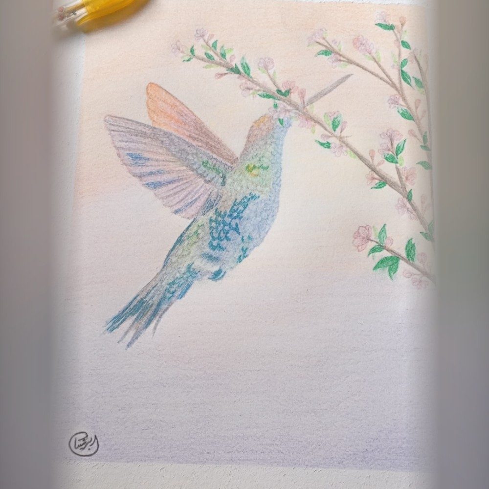 Hummingbird - Tiny wings, endless patience, photo by abr_e_naisan on the wall