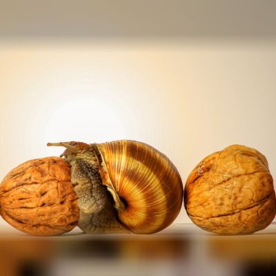 Guardiamo avanti