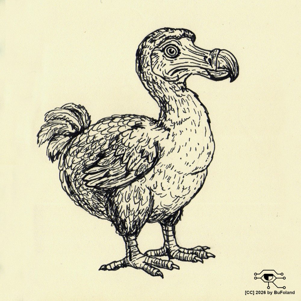 Day 18 Inktober: FLIGHTLESS, photo by bufoland on the wall