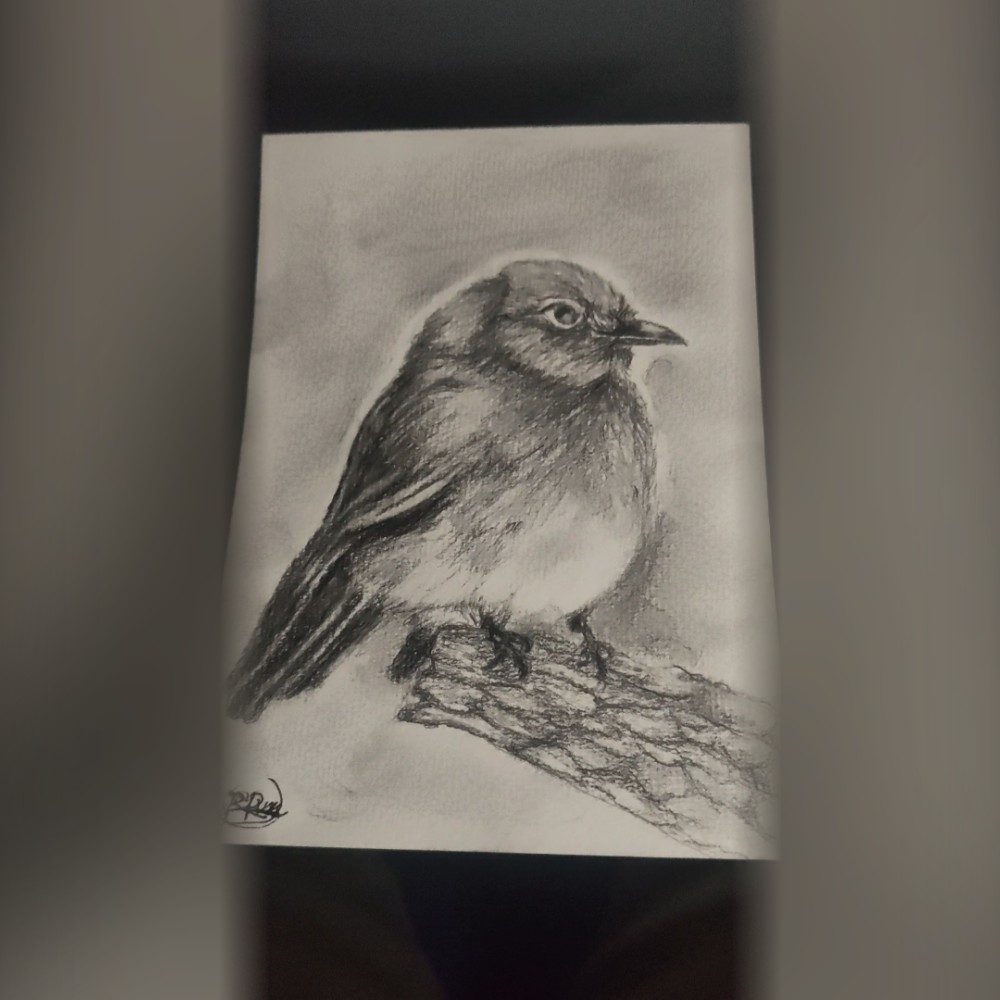 Simply an cute bird, photo by Varunssketchlab on the wall