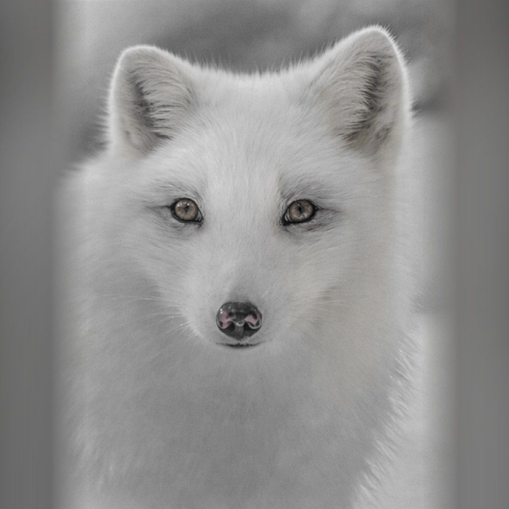 Regard, photo by Pierre on the wall