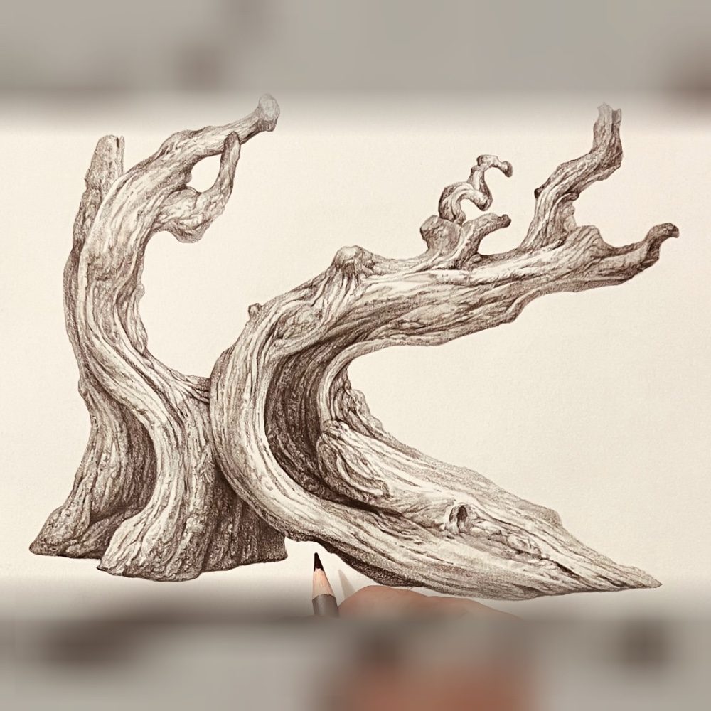 Imaginary. Pencil and heavy paper, photo by cameroart on the wall