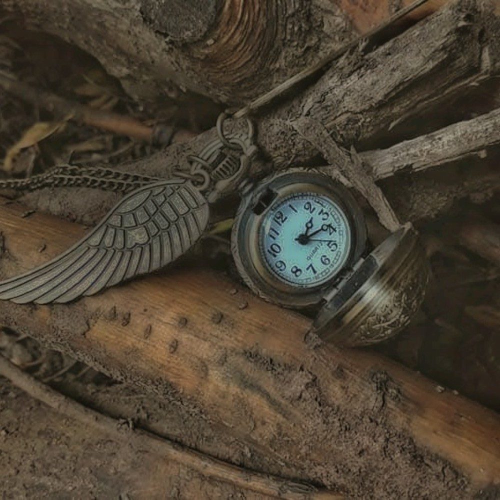 Wings of Time, photo by HelenePhotos on the wall