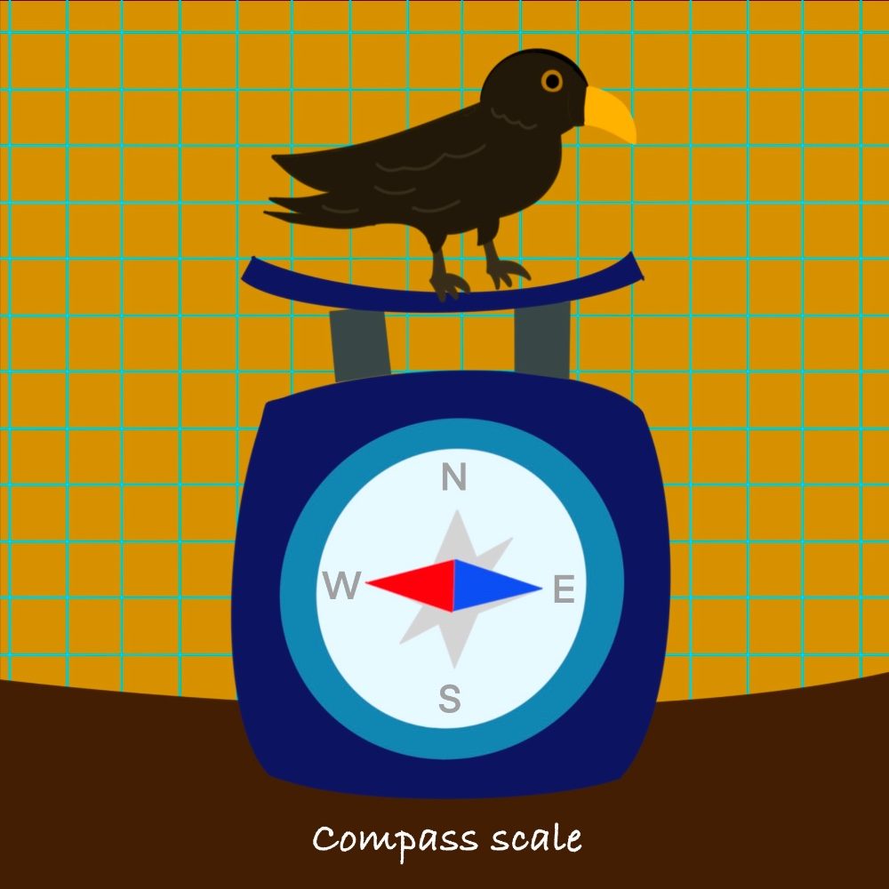 Compass scale, photo by akatsuki_animal on the wall
