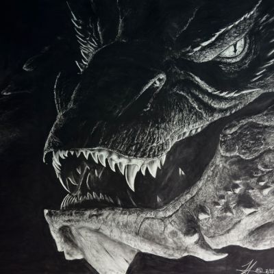 “Smaug” 2024 Charcoal (44”x55”)