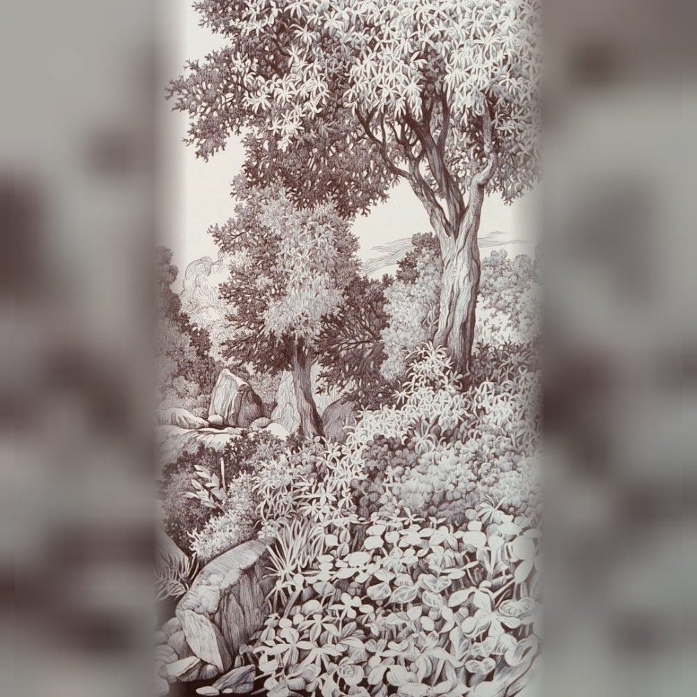 Imaginary landscape. Ballpoint pen and heavy paper, photo by cameroart on the wall