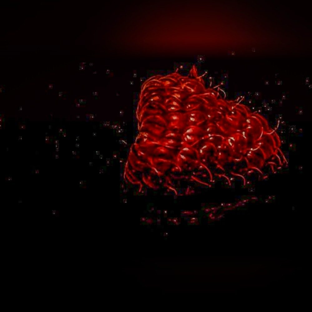 Red, photo by Pierre on the wall