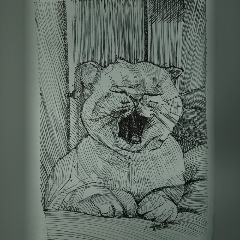 Yawning cat, photo by SKAI_ARTStudio on the wall