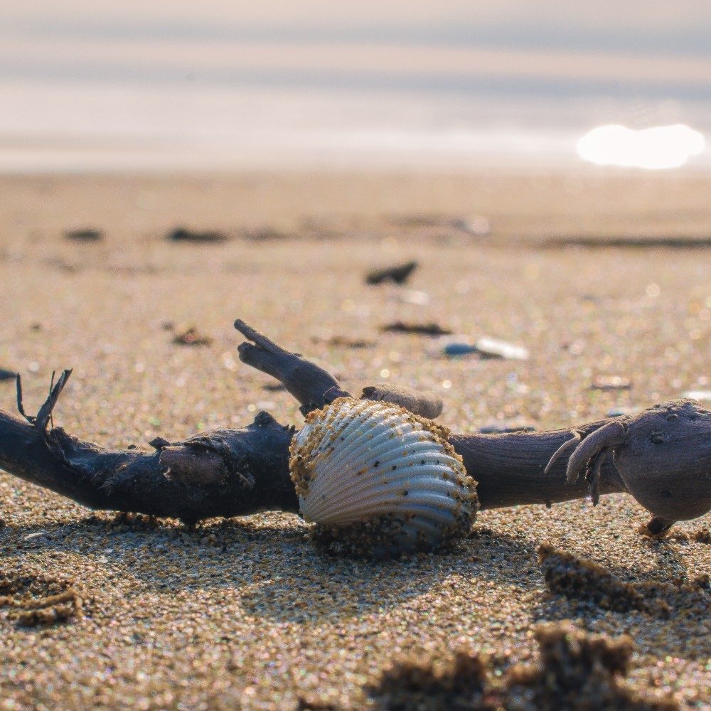 dettagli al mare, photo by Dasso85 on the wall