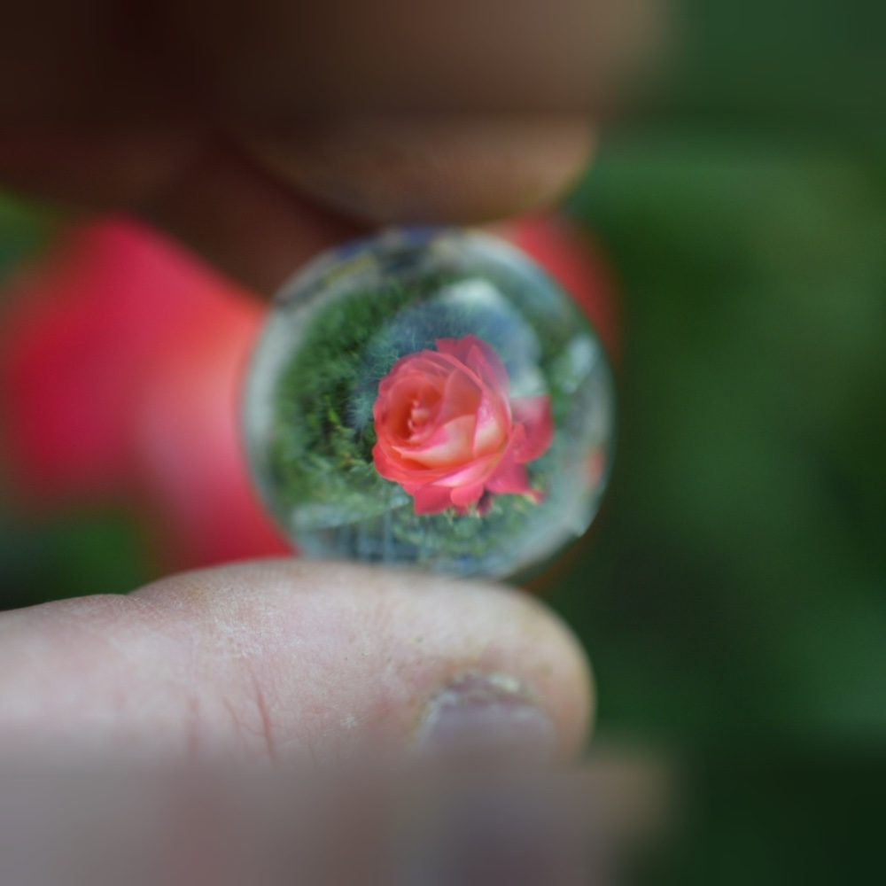 Riflessi 🌸, photo by Dasso85 on the wall
