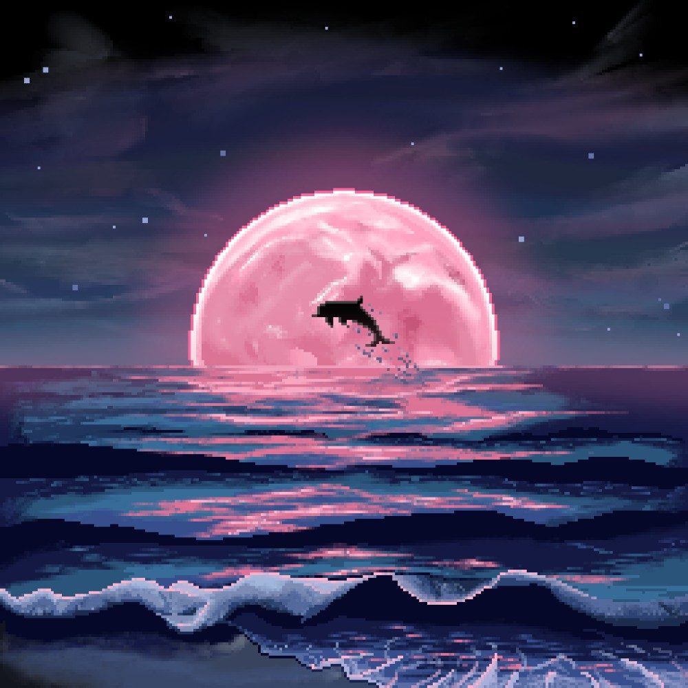 🌕 Dolphin Moonlight 🌕, photo by Detkota on the wall