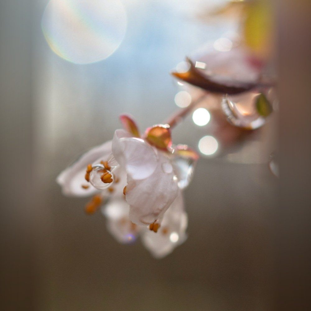 in un giorno di pioggia, photo by Dasso85 on the wall
