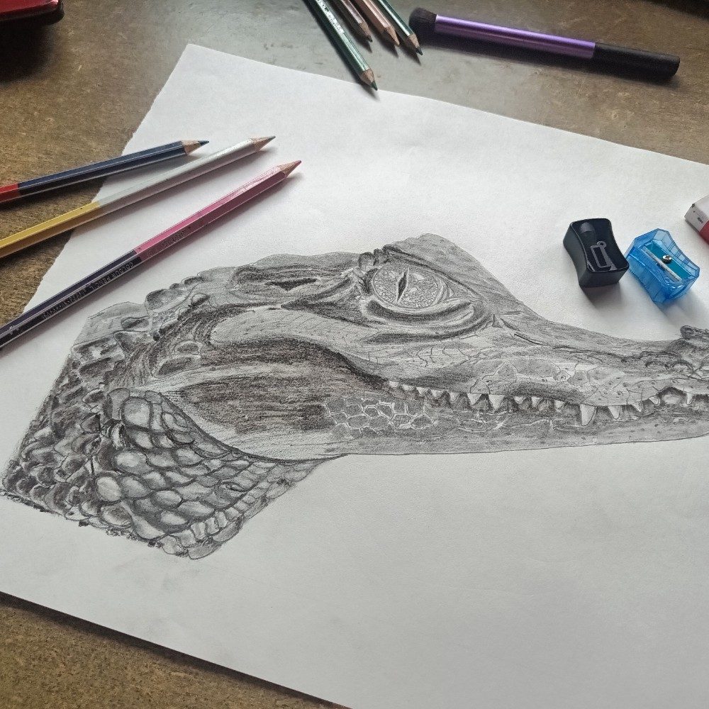 Crocodile 🐊 drawing, photo by ujjvalsoniarts on the wall