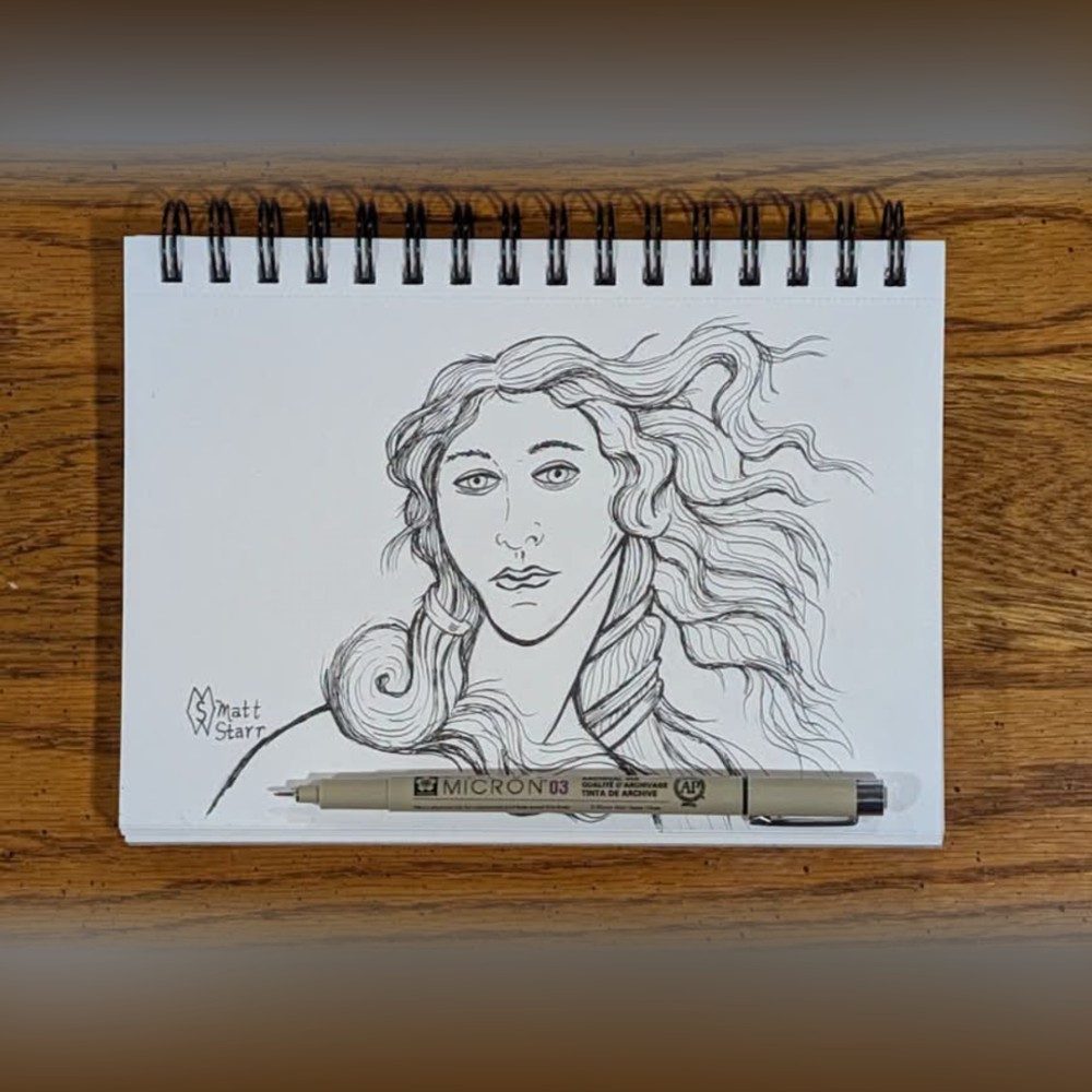 INKTOBER 2026- DAY 14: lady, photo by mattstarr on the wall
