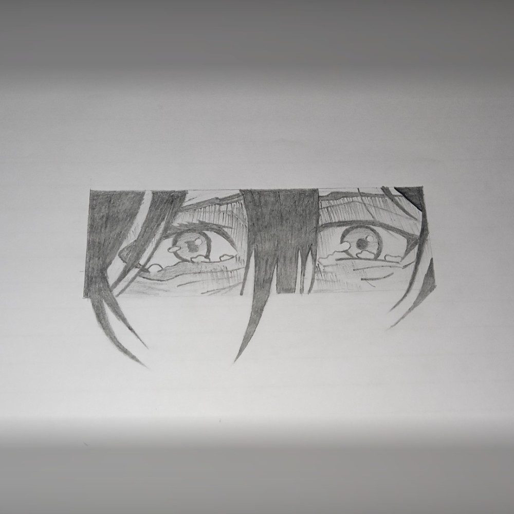 Mikasa 🕊️🧣, photo by ntrverseart on the wall