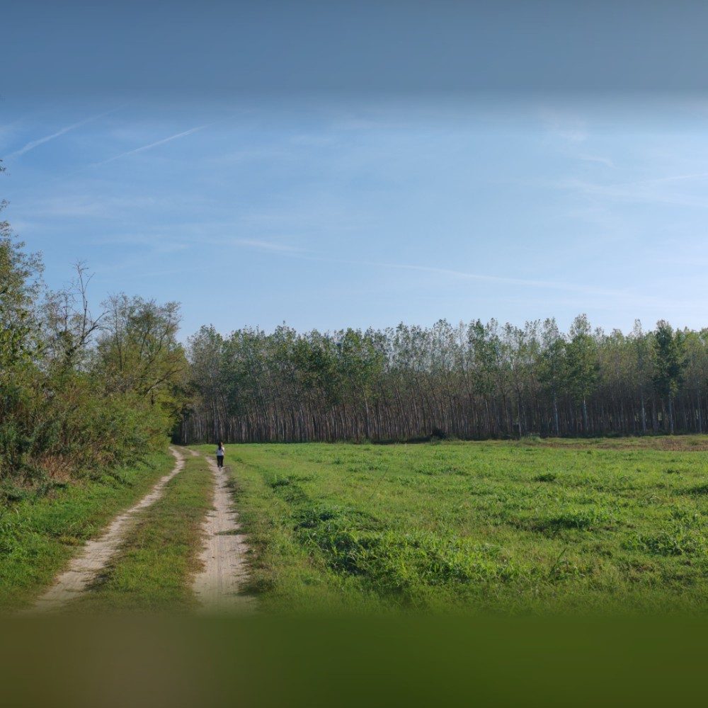 Passeggiare, photo by frabatto on the wall